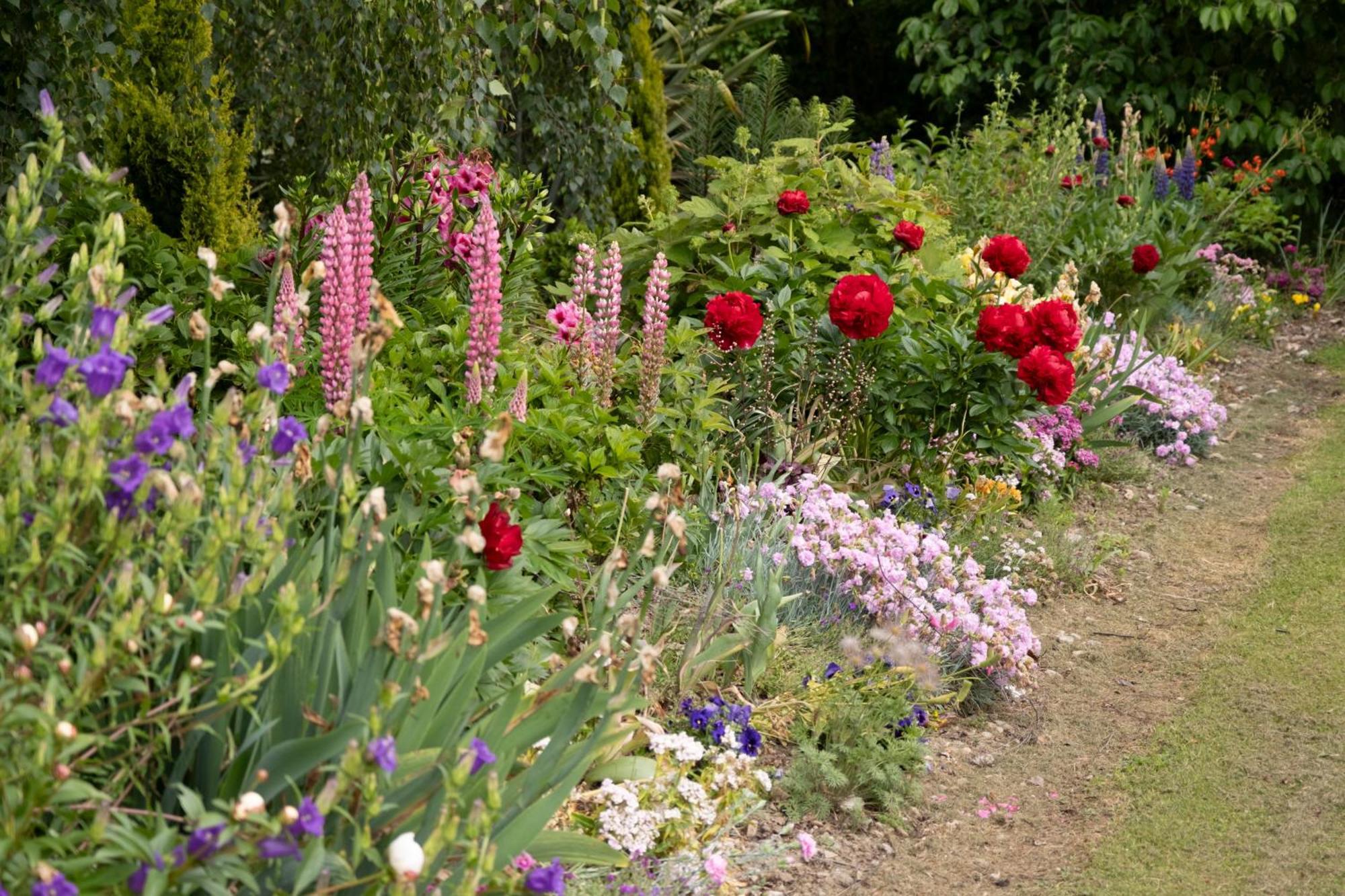 Benger Garden Chalets Millers Flat Esterno foto